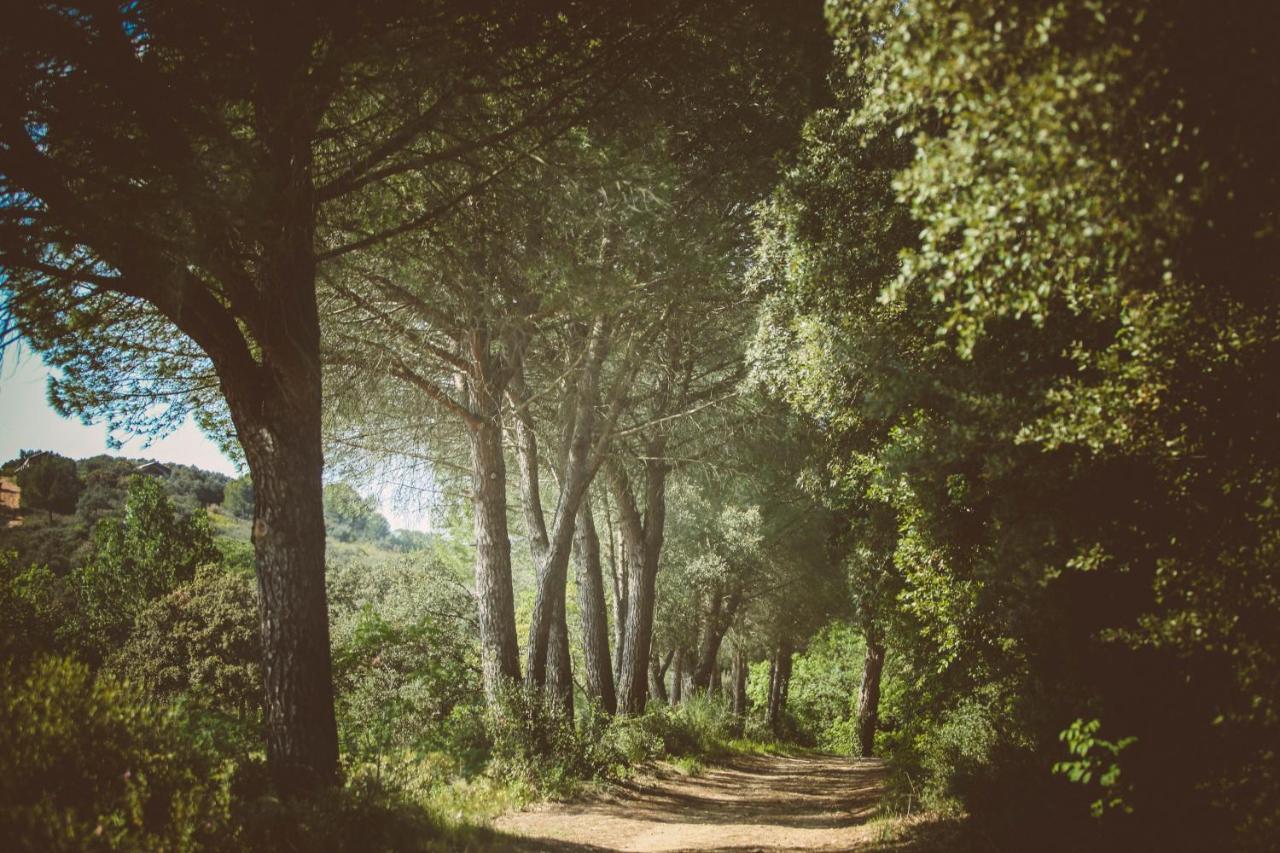 Domaine Sainte Colombe Ξενοδοχείο Εξωτερικό φωτογραφία